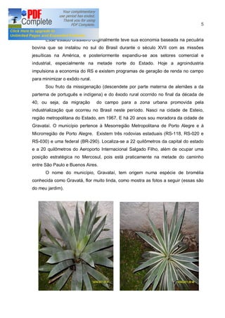 5


      Esse estado brasileiro originalmente teve sua economia baseada na pecuária
bovina que se instalou no sul do Brasil durante o século XVII com as missões
jesuíticas na América, e posteriormente expandiu-se aos setores comercial e
industrial, especialmente na metade norte do Estado. Hoje a agroindustria
impulsiona a economia do RS e existem programas de geração de renda no campo
para minimizar o exôdo rural.
      Sou fruto da missigenação (descendete por parte materna de alemães a da
parterna de português e indígena) e do êxodo rural ocorrido no final da década de
40, ou seja, da migração        do campo para a zona urbana promovida pela
industrialização que ocorreu no Brasil neste período. Nasci na cidade de Esteio,
região metropolitana do Estado, em 1967. E há 20 anos sou moradora da cidade de
Gravataí. O município pertence à Mesorregião Metropolitana de Porto Alegre e à
Microrregião de Porto Alegre. Existem três rodovias estaduais (RS-118, RS-020 e
RS-030) e uma federal (BR-290). Localiza-se a 22 quilômetros da capital do estado
e a 20 quilômetros do Aeroporto Internacional Salgado Filho, além de ocupar uma
posição estratégica no Mercosul, pois está praticamente na metade do caminho
entre São Paulo e Buenos Aires.
      O nome do município, Gravataí, tem origem numa espécie de bromélia
conhecida como Gravatá, flor muito linda, como mostra as fotos a seguir (essas são
do meu jardim).
 