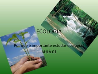 ECOLOGIA Por que é importante estudar ecologia? AULA 01 