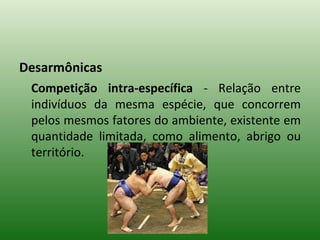 Desarmônicas Competição intra-específica  - Relação entre indivíduos da mesma espécie, que concorrem pelos mesmos fatores do ambiente, existente em quantidade limitada, como alimento, abrigo ou território. 