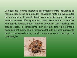 Canibalismo - é uma interação desarmônica entre indivíduos de mesma espécie na qual um dos indivíduos mata e devora outro de sua espécie. É manifestação comum entre alguns tipos de aranhas e escorpiões que após o ato sexual matam o macho. Fêmeas de louva-a-deus também devoram seus machos. Em alguns casos, o canibalismo por ser um fator de controle populacional mantendo o tamanho definido de uma população dentro do ecossistema, sendo encarado como um tipo de competição.  