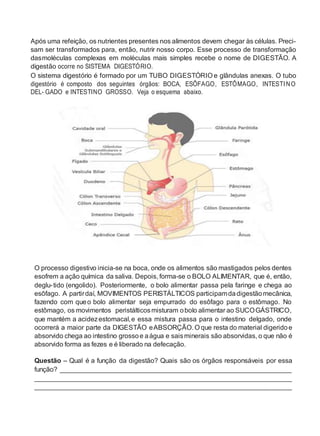 Após uma refeição, os nutrientes presentes nos alimentos devem chegar às células. Preci-
sam ser transformados para, então, nutrir nosso corpo. Esse processo de transformação
dasmoléculas complexas em moléculas mais simples recebe o nome de DIGESTÃO. A
digestão ocorre no SISTEMA DIGESTÓRIO.
O sistema digestório é formado por um TUBO DIGESTÓRIO e glândulas anexas. O tubo
digestório é composto dos seguintes órgãos: BOCA, ESÔFAGO, ESTÔMAGO, INTESTINO
DEL- GADO e INTESTINO GROSSO. Veja o esquema abaixo.
O processo digestivo inicia-se na boca, onde os alimentos são mastigados pelos dentes
esofrem a ação química da saliva. Depois, forma-se o BOLO ALIMENTAR, que é, então,
deglu-tido (engolido). Posteriormente, o bolo alimentar passa pela faringe e chega ao
esôfago. A partirdaí, MOVIMENTOS PERISTÁLTICOS participamdadigestãomecânica,
fazendo com queo bolo alimentar seja empurrado do esôfago para o estômago. No
estômago, os movimentos peristálticosmisturam obolo alimentar ao SUCOGÁSTRICO,
que mantém a acidezestomacal,e essa mistura passa para o intestino delgado, onde
ocorrerá a maior parte da DIGESTÃO eABSORÇÃO. O que resta do material digeridoe
absorvido chega ao intestino grossoe aágua e saisminerais são absorvidas, o que não é
absorvido forma as fezes e é liberado na defecação.
Questão – Qual é a função da digestão? Quais são os órgãos responsáveis por essa
função? ______________________________________________________________
_____________________________________________________________________
_____________________________________________________________________
 