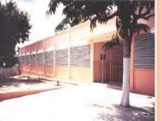 Atividade complementar – memórias da escola  estadual  joseph