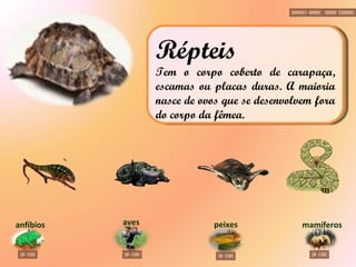 aves anfíbios peixes mamíferos Répteis Tem o corpo coberto de carapaça, escamas ou placas duras. A maioria nasce de ovos que se desenvolvem fora do corpo da fêmea. 
