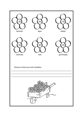 Escreva a frase que você completou.
_________________________________________________________________
_________________________________________________________________
_________________________________________________________________
semente água etapas
20 25 16
nutrientes solo germinação
28 30 24
 