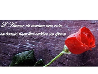 Atividade de francês