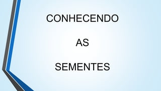 CONHECENDO
AS
SEMENTES
 