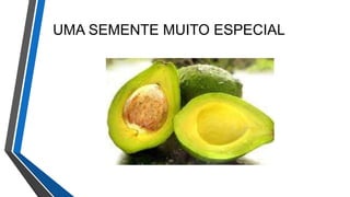 UMA SEMENTE MUITO ESPECIAL
 