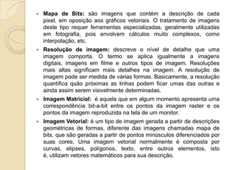 Mapa de Bits: são imagens que contém a descrição de cada pixel, em oposição aos gráficos vetoriais. O tratamento de imagens deste tipo requer ferramentas especializadas, geralmente utilizadas em fotografia, pois envolvem cálculos muito complexos, como interpolação, etc.Resolução de imagem: descreve o nível de detalhe que uma imagem comporta. O termo se aplica igualmente a imagens digitais, imagens em filme e outros tipos de imagem. Resoluções mais altas significam mais detalhes na imagem. A resolução de imagem pode ser medida de várias formas. Basicamente, a resolução quantifica quão próximas as linhas podem ficar umas das outras e ainda assim serem visivelmente determinadas.Imagem Matricial:  é aquela que em algum momento apresenta uma correspondência bit-a-bit entre os pontos da imagem raster e os pontos da imagem reproduzida na tela de um monitor.Imagem Vetorial: é um tipo de imagem gerada a partir de descrições geométricas de formas, diferente das imagens chamadas mapa de bits, que são geradas a partir de pontos minúsculos diferenciados por suas cores. Uma imagem vetorial normalmente é composta por curvas, elipses, polígonos, texto, entre outros elementos, isto é, utilizam vetores matemáticos para sua descrição.