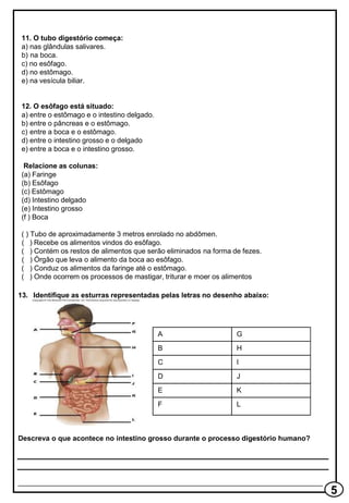 11. O tubo digestório começa:
a) nas glândulas salivares.
b) na boca.
c) no esôfago.
d) no estômago.
e) na vesícula biliar.
12. O esôfago está situado:
a) entre o estômago e o intestino delgado.
b) entre o pâncreas e o estômago.
c) entre a boca e o estômago.
d) entre o intestino grosso e o delgado
e) entre a boca e o intestino grosso.
Relacione as colunas:
(a) Faringe
(b) Esôfago
(c) Estômago
(d) Intestino delgado
(e) Intestino grosso
(f ) Boca
( ) Tubo de aproximadamente 3 metros enrolado no abdômen.
( ) Recebe os alimentos vindos do esôfago.
( ) Contém os restos de alimentos que serão eliminados na forma de fezes.
( ) Órgão que leva o alimento da boca ao esôfago.
( ) Conduz os alimentos da faringe até o estômago.
( ) Onde ocorrem os processos de mastigar, triturar e moer os alimentos
13. Identifique as esturras representadas pelas letras no desenho abaixo:
Descreva o que acontece no intestino grosso durante o processo digestório humano?
_____________________________________________________________________________
A G
B H
C I
D J
E K
F L
 