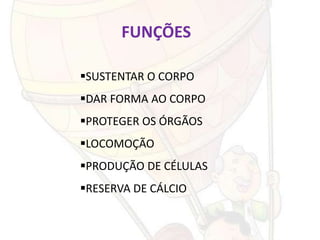 FUNÇÕES

SUSTENTAR O CORPO
DAR FORMA AO CORPO
PROTEGER OS ÓRGÃOS
LOCOMOÇÃO
PRODUÇÃO DE CÉLULAS
RESERVA DE CÁLCIO
 