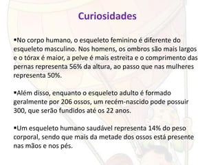 Curiosidades

No corpo humano, o esqueleto feminino é diferente do
esqueleto masculino. Nos homens, os ombros são mais largos
e o tórax é maior, a pelve é mais estreita e o comprimento das
pernas representa 56% da altura, ao passo que nas mulheres
representa 50%.

Além disso, enquanto o esqueleto adulto é formado
geralmente por 206 ossos, um recém-nascido pode possuir
300, que serão fundidos até os 22 anos.

Um esqueleto humano saudável representa 14% do peso
corporal, sendo que mais da metade dos ossos está presente
nas mãos e nos pés.
 