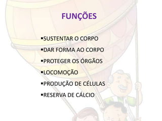 FUNÇÕES

SUSTENTAR O CORPO
DAR FORMA AO CORPO
PROTEGER OS ÓRGÃOS
LOCOMOÇÃO
PRODUÇÃO DE CÉLULAS
RESERVA DE CÁLCIO
 