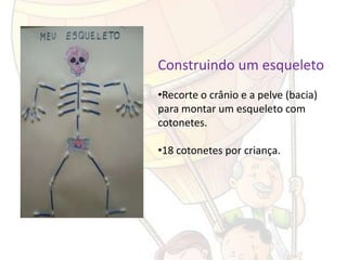 Construindo um esqueleto
•Recorte o crânio e a pelve (bacia)
para montar um esqueleto com
cotonetes.

•18 cotonetes por criança.
 