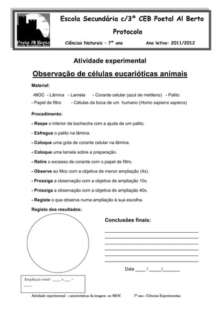 Escola Secundária c/3º CEB Poetal Al Berto
                                                       Protocolo
                         Ciências Naturais – 7º ano                        Ano letivo: 2011/2012



                                Atividade experimental
                      Nome: _______________________nº ____                           Turma ____


     Observação de Felismina R. Covas
           Professora: células eucarióticas animais

    Material:

     -MOC - Lâmina - Lamela               - Corante celular (azul de metileno) - Palito
    - Papel de filtro        - Células da boca de um humano (Homo sapiens sapiens)

    Procedimento:

    - Raspe o interior da bochecha com a ajuda de um palito.

    - Esfregue o palito na lâmina.

    - Coloque uma gota de corante celular na lâmina.

    - Coloque uma lamela sobre a preparação.

    - Retire o excesso de corante com o papel de filtro.

    - Observe ao Moc com a objetiva de menor ampliação (4x).

    - Prossiga a observação com a objetiva de ampliação 10x.

    - Prossiga a observação com a objetiva de ampliação 40x.

    - Registe o que observa numa ampliação à sua escolha.

    Registo dos resultados:

                                                  Conclusões finais:
                                                  ______________________________________
                                                  ______________________________________
                                                  ______________________________________
                                                  ______________________________________
                                                  ______________________________________
                                                  ______________________________________

                                                                Data ____ / _____/_______

Ampliação total= ____ x ___ =
____

    Atividade experimental - características da imagem ao MOC       7º ano - Ciências Experimentias
 