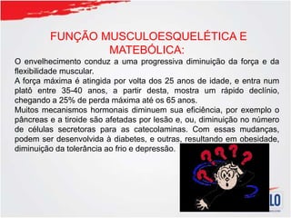 FUNÇÃO MUSCULOESQUELÉTICA E
MATEBÓLICA:
O envelhecimento conduz a uma progressiva diminuição da força e da
flexibilidade muscular.
A força máxima é atingida por volta dos 25 anos de idade, e entra num
platô entre 35-40 anos, a partir desta, mostra um rápido declínio,
chegando a 25% de perda máxima até os 65 anos.
Muitos mecanismos hormonais diminuem sua eficiência, por exemplo o
pâncreas e a tiroide são afetadas por lesão e, ou, diminuição no número
de células secretoras para as catecolaminas. Com essas mudanças,
podem ser desenvolvida à diabetes, e outras, resultando em obesidade,
diminuição da tolerância ao frio e depressão.
 