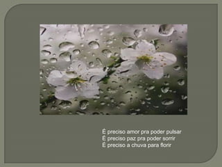                                        É preciso amor pra poder pulsar                                       É preciso paz pra poder sorrir                                        É preciso a chuva para florir          