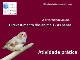 Ciências da Natureza – 5º ano




                   A diversidade animal
O revestimento dos animais - As penas




                 Atividade prática
 