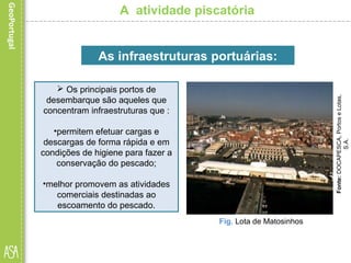 A atividade piscatória
 Os principais portos de
desembarque são aqueles que
concentram infraestruturas que :
•permitem efetuar cargas e
descargas de forma rápida e em
condições de higiene para fazer a
conservação do pescado;
•melhor promovem as atividades
comerciais destinadas ao
escoamento do pescado.
As infraestruturas portuárias:
Fonte:DOCAPESCA,PortoseLotas,
S.A.
Fig. Lota de Matosinhos
 