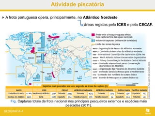 Atividade piscatória
 A frota portuguesa opera, principalmente, no Atlântico Nordeste
Fig. Capturas totais da frota nacional nos principais pesqueiros externos e espécies mais
pescadas (2011).
áreas regidas pelo ICES e pela CECAF.
 