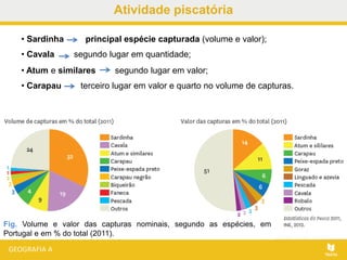 Atividade piscatória
• Sardinha principal espécie capturada (volume e valor);
• Cavala segundo lugar em quantidade;
• Atum e similares segundo lugar em valor;
• Carapau terceiro lugar em valor e quarto no volume de capturas.
Fig. Volume e valor das capturas nominais, segundo as espécies, em
Portugal e em % do total (2011).
 