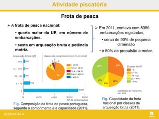 Atividade piscatória
Frota de pesca
Fig. Composição da frota de pesca portuguesa,
segundo o comprimento e a capacidade (2011).
Fig. Capacidade da frota
nacional por classes de
arqueação bruta (2011).
 A frota de pesca nacional:
• quarta maior da UE, em número de
embarcações,
• sexta em arqueação bruta e potência
motriz.
 Em 2011, contava com 8380
embarcações registadas,
• cerca de 90% de pequena
dimensão
• e 80% de propulsão a motor.
 