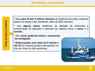 Atividade piscatória
• Atua para lá das 6 milhas náuticas de distância da costa, podendo
operar em áreas mais afastadas, além da ZEE nacional.
• Usa alguns meios modernos de deteção de cardumes e
conservação do pescado e técnicas de captura como o cerco e o
arrasto.
• Tem maior potência motriz e autonomia
de navegação.
• Embarcações com mais de 9 metros e
até 33 (as maiores podem permanecer no
mar por duas ou três semanas).
Frotadepescacosteira
 