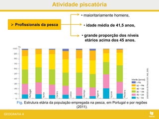 Atividade piscatória
Fig. Estrutura etária da população empregada na pesca, em Portugal e por regiões
(2011).
 Profissionais da pesca
• maioritariamente homens,
• idade média de 41,5 anos,
• grande proporção dos níveis
etários acima dos 45 anos.
 