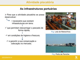 Atividade piscatória
• necessário que existam
infraestruturas em terra:
As infraestruturas portuárias
 e garantir a sua conservação e
colocação no mercado.
 Para que a atividade piscatória se possa
desenvolver:
 que permitam descarregar o pescado de
forma rápida;
 em condições de higiene e frescura;
Fig. Porto de Peniche
Fig. Lota de Matosinhos
 