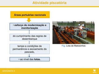 • ao nível das lotas.
Atividade piscatória
Fig. Lota de Matosinhos
Áreas portuárias nacionais
• esforço de modernização e
monitorização
do cumprimento das regras de
desembarque
tempo e condições de
permanência e escoamento do
pescado,
 