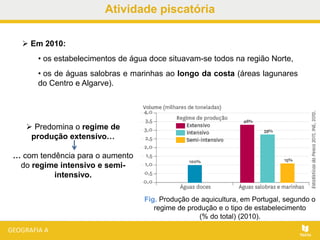 Atividade piscatória
 Predomina o regime de
produção extensivo…
… com tendência para o aumento
do regime intensivo e semi-
intensivo.
Fig. Produção de aquicultura, em Portugal, segundo o
regime de produção e o tipo de estabelecimento
(% do total) (2010).
 Em 2010:
• os estabelecimentos de água doce situavam-se todos na região Norte,
• os de águas salobras e marinhas ao longo da costa (áreas lagunares
do Centro e Algarve).
 