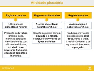 Atividade piscatória
Regime extensivo Regime semi-intensivo Regime intensivo
Utiliza apenas
alimentação natural.
Produção de bivalves
(amêijoa, ostra,
mexilhão berbigão),
maioritariamente com
métodos tradicionais,
em viveiros ou
estruturas flutuantes,
em águas salobras e
marinhas.
Associa alimentação
natural e artificial.
Criação de peixes como a
dourada e o robalo,
sobretudo em viveiros de
águas marinhas.
A alimentação é
sobretudo artificial.
Produção em viveiros
de espécies de água
doce, como a truta,
a mais importante, e de
águas marinhas, como
o pregado.
 