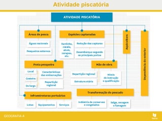 Atividade piscatória
 