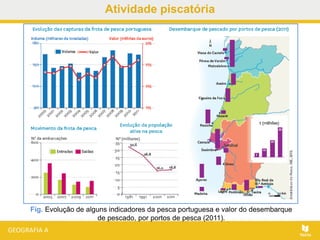 Atividade piscatória
Fig. Evolução de alguns indicadores da pesca portuguesa e valor do desembarque
de pescado, por portos de pesca (2011).
 