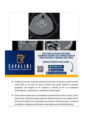 Atividade Prática Anatomia Das Imagens Pdf