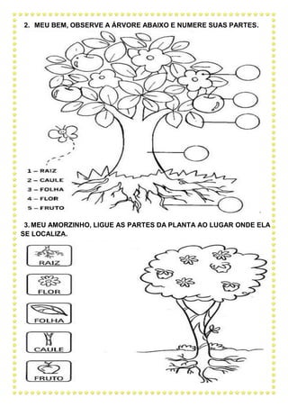 2. MEU BEM, OBSERVE A ÁRVORE ABAIXO E NUMERE SUAS PARTES.
3. MEU AMORZINHO, LIGUE AS PARTES DA PLANTA AO LUGAR ONDE ELA
SE LOCALIZA.
 