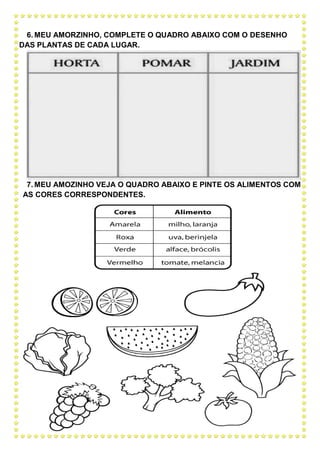 6. MEU AMORZINHO, COMPLETE O QUADRO ABAIXO COM O DESENHO
DAS PLANTAS DE CADA LUGAR.
7. MEU AMOZINHO VEJA O QUADRO ABAIXO E PINTE OS ALIMENTOS COM
AS CORES CORRESPONDENTES.
 