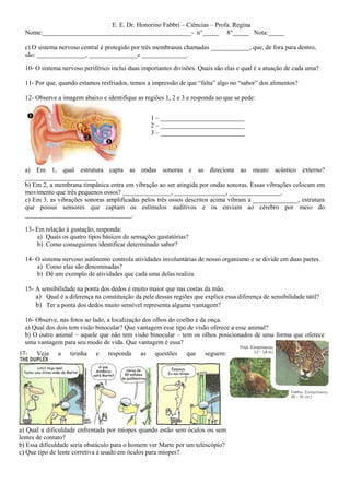 E. E. Dr. Honorino Fabbri – Ciências – Profa. Regina
  Nome:______________________________________________- n°_____ 8°_____ Nota:_____

  c) O sistema nervoso central é protegido por três membranas chamadas ____________, que, de fora para dentro,
  são: _______________, _______________e ______________.

  10- O sistema nervoso periférico inclui duas importantes divisões. Quais são elas e qual é a atuação de cada uma?

  11- Por que, quando estamos resfriados, temos a impressão de que “falta” algo no “sabor” dos alimentos?

  12- Observe a imagem abaixo e identifique as regiões 1, 2 e 3 e responda ao que se pede:


                                                    1 – __________________________
                                                    2 – __________________________
                                                    3 – __________________________




  a) Em 1, qual estrutura capta as ondas sonoras e as direciona ao meato acústico externo?
  ______________________
  b) Em 2, a membrana timpânica entra em vibração ao ser atingida por ondas sonoras. Essas vibrações colocam em
  movimento que três pequenos ossos? _______________, ________________, ________________.
  c) Em 3, as vibrações sonoras amplificadas pelos três ossos descritos acima vibram a ______________, estrutura
  que possui sensores que captam os estímulos auditivos e os enviam ao cérebro por meio do
  _________________________________.

  13- Em relação à gustação, responda:
      a) Quais os quatro tipos básicos de sensações gustatórias?
      b) Como conseguimos identificar determinado sabor?

  14- O sistema nervoso autônomo controla atividades involuntárias de nosso organismo e se divide em duas partes.
      a) Como elas são denominadas?
      b) Dê um exemplo de atividades que cada uma delas realiza.

  15- A sensibilidade na ponta dos dedos é muito maior que nas costas da mão.
      a) Qual é a diferença na constituição da pele dessas regiões que explica essa diferença de sensibilidade tátil?
      b) Ter a ponta dos dedos muito sensível representa alguma vantagem?

  16- Observe, nas fotos ao lado, a localização dos olhos do coelho e da onça.
  a) Qual dos dois tem visão binocular? Que vantagem esse tipo de visão oferece a esse animal?
  b) O outro animal – aquele que não tem visão binocular – tem os olhos posicionados de uma forma que oferece
  uma vantagem para seu modo de vida. Que vantagem é essa?
17-   Veja    a    tirinha   e    responda     as    questões    que    seguem:




a) Qual a dificuldade enfrentada por míopes quando estão sem óculos ou sem
lentes de contato?
b) Essa dificuldade seria obstáculo para o homem ver Marte por um telescópio?
c) Que tipo de lente corretiva é usado em óculos para míopes?
 
