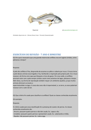 Disponível em pescandocomamigos.com
Atividades disponíveis em : Ciências Nosso Corpo - Fernando Gewandsznajder
EXERCÍCIOS DE REVISÃO - 7 ANO-E BIMESTRE
01) Por que é necessário que uma grande maioria dos anfíbios viva em lugares úmidos, como
pântanos e brejos?
Resposta
A pele dos anfíbios é fina, desprovida de escamas ou pêlos e coberta por muco. O muco torna
a pele desses animais escorregadia e lisa, facilitando a respiração pela própria pele. Se o muco
ressecar, ele forma uma capa que bloqueia a troca de gases. Por essa razão, os anfíbios
precisam estar com a pele sempre úmida e assim viver próximos de lagos, pântanos e brejos.
Além disso, sua forma de reprodução também requer um ambiente aquático, já que muitos
animais eliminam os óvulos e
espermatozóides na água. A casca dos ovos não é impermeável, e, na terra, os ovos poderiam
ressecar com o calor do Sol.
02) Que critério foi usado para classificar os anfíbios? Quais as classes conhecidas atualmente.
Dê exemplos.
Resposta
O critério usado para essa classificação foi a presença de cauda e de pernas. As classes
conhecidas atualmente são:
- Anuros: possuem quatro pernas e não têm cauda. Ex.: sapos e rãs;
- Urodelos: possuem quatro pernas e apresentam cauda. Ex.: salamandra e tritão;
- Ápodes: não possuem pernas. Ex.: cobra-cega.
 