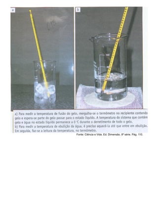 Fonte: Ciência e Vida. Ed. Dimensão. 8º série. Pág. 110.
 