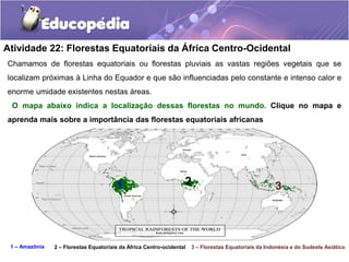 Atividade 22: Florestas Equatoriais da África Centro-Ocidental
Chamamos de florestas equatoriais ou florestas pluviais as vastas regiões vegetais que se
localizam próximas à Linha do Equador e que são influenciadas pelo constante e intenso calor e
enorme umidade existentes nestas áreas.
O mapa abaixo indica a localização dessas florestas no mundo. Clique no mapa e
aprenda mais sobre a importância das florestas equatoriais africanas
1 2 3
1 – Amazônia 2 – Florestas Equatoriais da África Centro-ocidental 3 – Florestas Equatoriais da Indonésia e do Sudeste Asiático
 