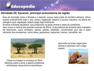 Atividade 24: Savanas: principal ecossistema da região
Área de transição entre a floresta e o deserto, ocupa maior parte do território africano. Clima
quente praticamente todo o ano, possui vegetação rasteira e poucos arbustos, na época da
estiagem essa vegetação rasteira pega fogo facilmente.
Envolve a floresta equatorial, que predomina na parte central e oeste do continente.
Aqui vivem a maioria dos grandes animais da África. A abundância de alimento atrai manadas
de herbívoros, como antílopes, zebras, girafas, elefantes, rinocerontes, que são a base
alimentar dos predadores, como leões, guepardos, leopardos, hienas, crocodilos, etc.
Clique na imagem e conheça um filme
fabuloso sobre o tema e alguns problemas
enfrentados nesse bioma maravilhoso.
Aproveite as horas vagas para
brincar e aprender com o jogo
abaixo.
 