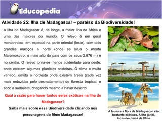 Atividade 25: Ilha de Madagascar – paraíso da Biodiversidade!
A Ilha de Madagascar é, de longe, a maior ilha de África e
uma das maiores do mundo. O relevo é em geral
montanhoso, em especial na parte oriental (leste), com dois
grandes maciços a norte (onde se situa o monte
Maromokotro, o mais alto do país com os seus 2.876 m) e
no centro. O relevo torna-se menos acidentado para oeste,
onde existem algumas planícies costeiras. O clima é muito
variado, úmido a nordeste onde existem áreas (cada vez
mais reduzidas pelo desmatamento) de floresta tropical, e
seco a sudoeste, chegando mesmo a haver deserto.
A fauna e a flora de Madagascar são
bastante exóticas. A ilha já foi,
inclusive, tema de filme
Qual a razão para haver tantos seres exóticos na Ilha de
Madagascar?
Saiba mais sobre essa Biodiversidade clicando nos
personagens do filme Madagascar!
 