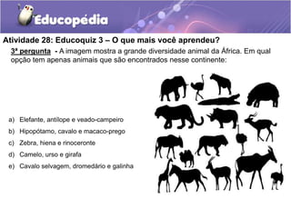 a) Elefante, antílope e veado-campeiro
b) Hipopótamo, cavalo e macaco-prego
c) Zebra, hiena e rinoceronte
d) Camelo, urso e girafa
e) Cavalo selvagem, dromedário e galinha
Atividade 28: Educoquiz 3 – O que mais você aprendeu?
3ª pergunta - A imagem mostra a grande diversidade animal da África. Em qual
opção tem apenas animais que são encontrados nesse continente:
 
