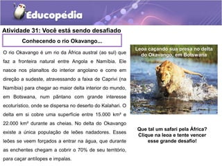 Atividade 31: Você está sendo desafiado
Conhecendo o rio Okavango...
O rio Okavango é um rio da África austral (ao sul) que
faz a fronteira natural entre Angola e Namíbia. Ele
nasce nos planaltos do interior angolano e corre em
direção a sudeste, atravessando a faixa de Caprivi (na
Namíbia) para chegar ao maior delta interior do mundo,
em Botswana, num pântano com grande interesse
ecoturístico, onde se dispersa no deserto do Kalahari. O
delta em si cobre uma superfície entre 15.000 km² e
22.000 km² durante as cheias. No delta do Okavango
existe a única população de leões nadadores. Esses
leões se veem forçados a entrar na água, que durante
as enchentes chegam a cobrir o 70% de seu território,
para caçar antílopes e impalas.
Leoa caçando sua presa no delta
do Okavango, em Botswana
Que tal um safari pela África?
Clique na leoa e tente vencer
esse grande desafio!
 