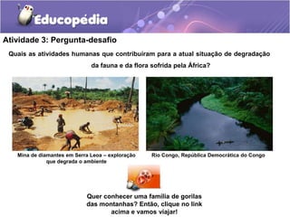Atividade 3: Pergunta-desafio
Quais as atividades humanas que contribuíram para a atual situação de degradação
da fauna e da flora sofrida pela África?
Mina de diamantes em Serra Leoa – exploração
que degrada o ambiente
Rio Congo, República Democrática do Congo
Quer conhecer uma família de gorilas
das montanhas? Então, clique no link
acima e vamos viajar!
 