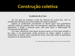 As plantas do 3º ano
     No dia dois de outubro a aula de ciências foi muito boa, com as
professoras Fabíola e Laura.Elas explicaram sobre as plantas.
     Depois as professoras convidaram os alunos para uma experiência
cientifica sobre as plantas. Elas nos entregaram copinhos, algodão e água,
plantamos o feijão e levamos para casa para fazer a observação do
crescimento da semente.
     Em casa, colocamos mais água, levamos para o ar livre para receber a
luz solar, e na observação vimos primeiro as raízes, depois o caule e
finalmente as folhas. Essa experiência durou sete dias onde as plantinhas
nasceram e se reproduziram.

                                Texto coletivo produzido após a observação do crescimento da semente de feijão.
 