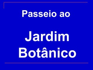 Passeio ao  Jardim Botânico 