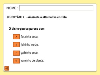 NOME :

QUESTÃO: 2 - Assinale a alternativa correta



 O bicho-pau se parece com

     A    florzinha seca.

      B   folhinha verde.

      C   galhinho seco.

     D    raminho de planta.
 