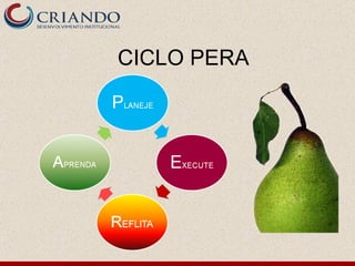 CICLO PERA 