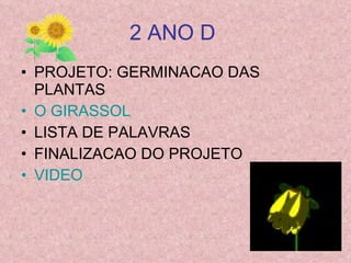 2 ANO D   PROJETO: GERMINACAO DAS PLANTAS O GIRASSOL LISTA DE PALAVRAS FINALIZACAO DO PROJETO VIDEO   